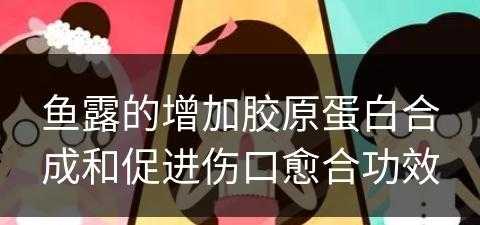 鱼露的增加胶原蛋白合成和促进伤口愈合功效